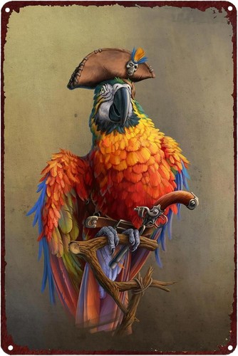 Pirate parrot sign aluminum - pirate,