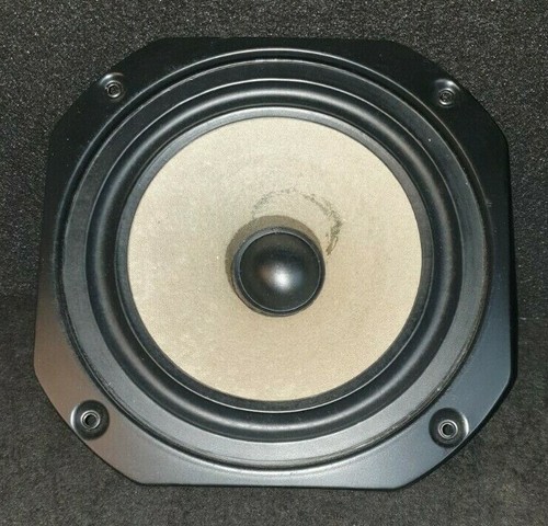 Woofer wharfedale program - woofer, 20
