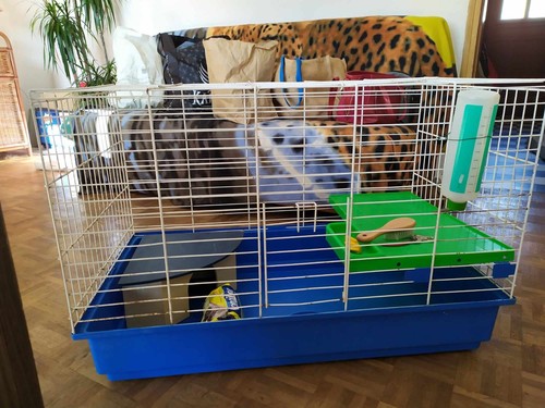 Cage lapin niveaux - cage, 2
