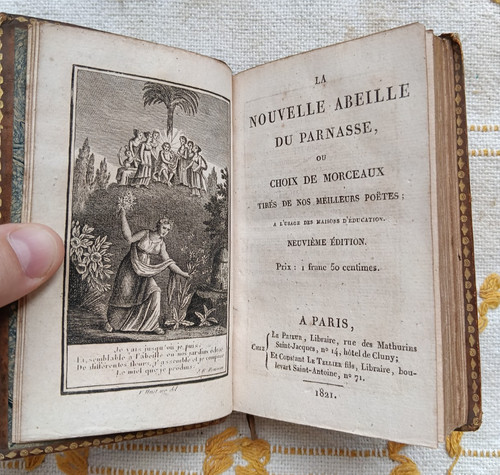 Abeille parnasse collectif - abeille,