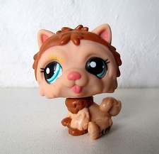 Petshop chien chow chow