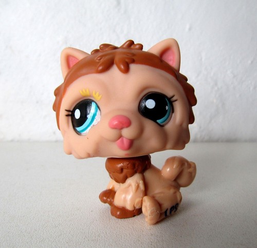 Petshop chien chow - ,