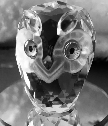 Hibou cristal taillé - en,