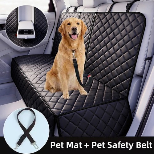 Pour daily pet voiture - voiture, coffre