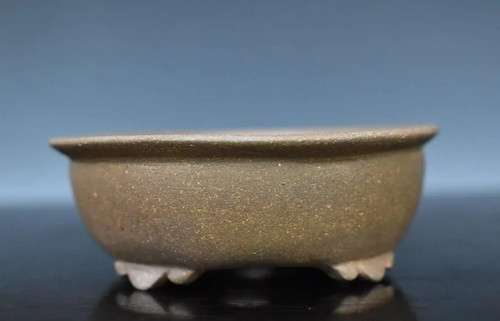 Pot bonsaï japonais - à, seisho