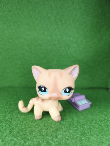 Lps littlest pet shop - lps, chat