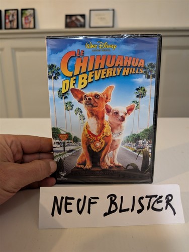 Dvd chihuahua beverly - dvd, de