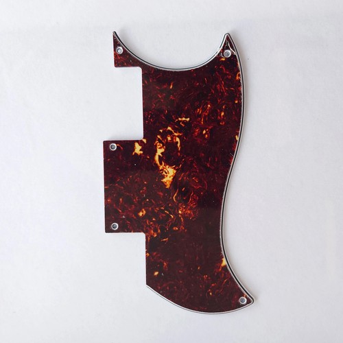 Music store guitar pickguard - store,