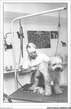 AHWP11-0738 - TRADES - dog grooming