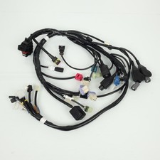 Faisceau électrique origine