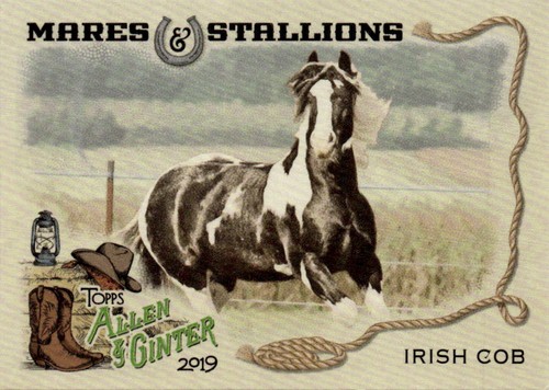 2019 topps allen - allen, &