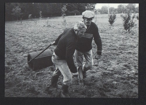 Faouet cultivateur au - le,