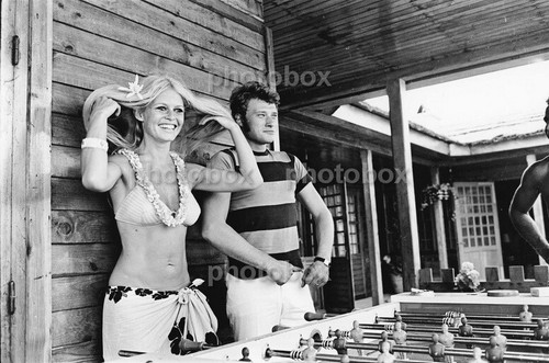 Johnny hallyday exclusive - -,