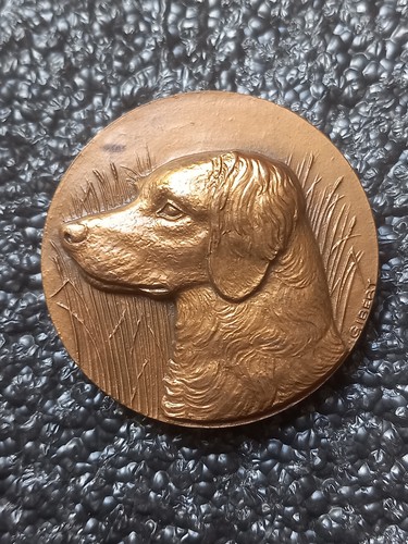 Médaille bronze chien de - u-,