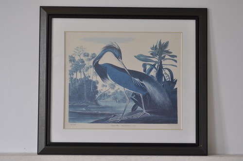 Lithographie john james - lithographie,