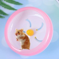 Petite gerbille de rat de