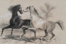 Beau Dessin au Crayon fin XIX signé Chevaux Equitation Cheval Horse Cavallo 19th