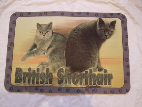 Tapis déco chat british - tapis,