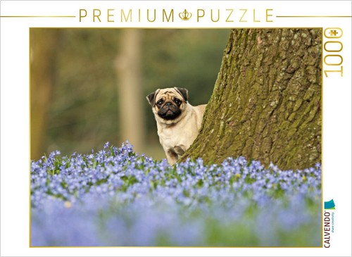 Calvendo puzzle mops - calvendo, mit