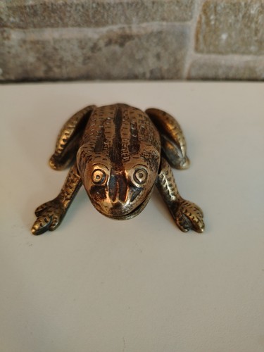 Grenouille laiton doré - grenouille, en