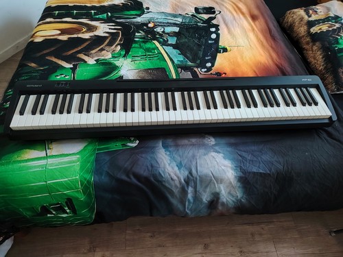 Roland touches piano - roland, 88
