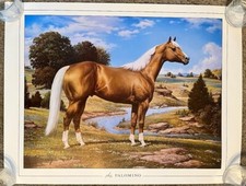 ORREN MIXER PALOMINO STALLION