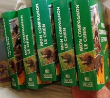 Mon Compagnon le Chien –