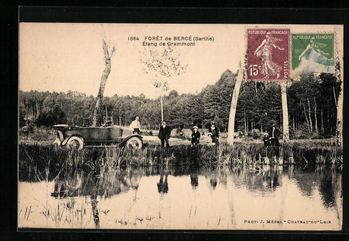 Cpa foret bercé etang - de, bercé,