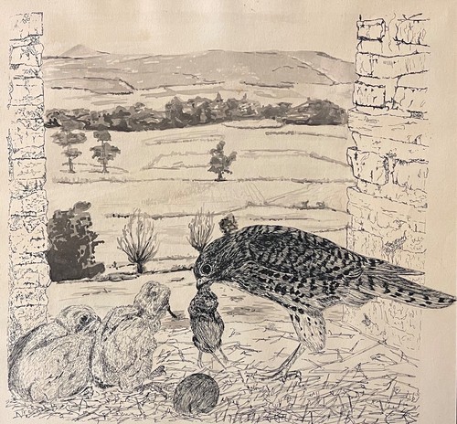Rapace ses petits lavis - et,