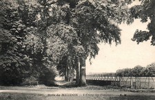 CPA 92 - Bois de MEUDON (Hauts