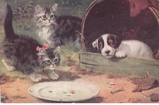 CHAT #32381 DEUX CHATONS GRIS ET UN CHIOT JACK RUSSELL