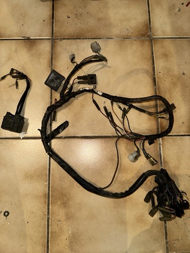 Circuit complet électrique - complet,