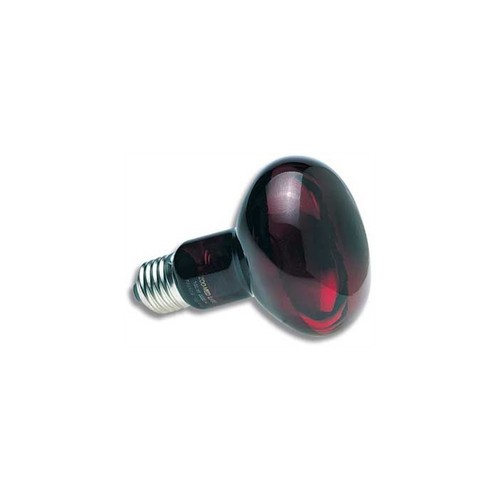Zoo med lampe - w,