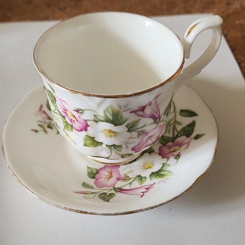 Royal winchester tasse - royal,