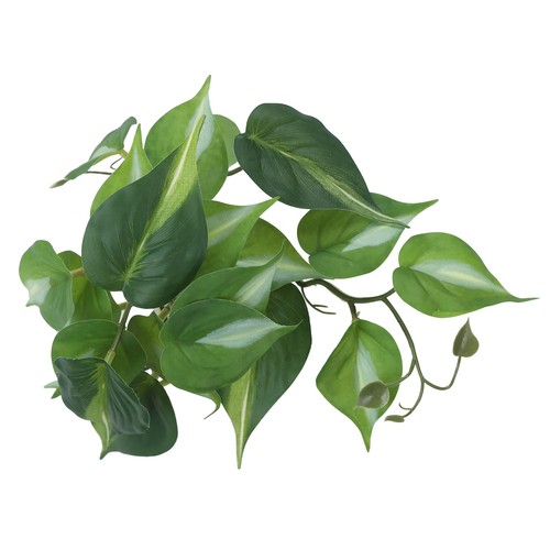 Fake reptile terrarium plants - reptile,