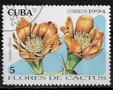 1994. Cactus. Opuntia dillenii. N°3385.