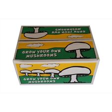All-In-One Grow Your Own Mushrooms Kit