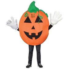 Costume De Mascotte De Citrouille Pour Adulte