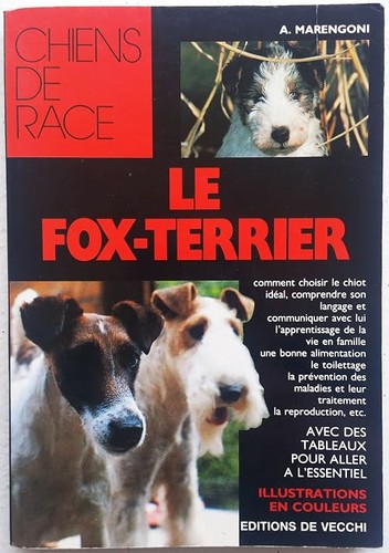 Fox terrier marengoni - fox-terrier,