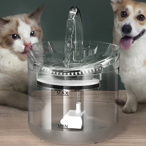 Fontaine eau pour - pour, chats