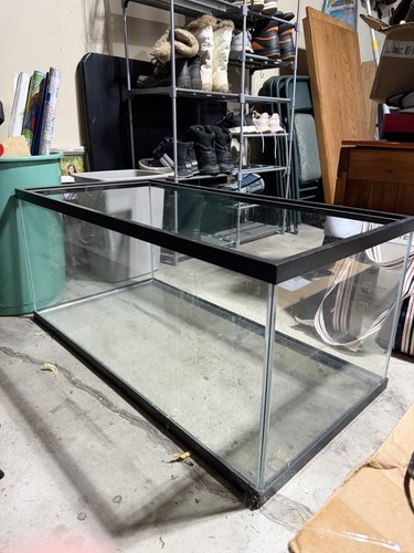Clean gallon fish - gallon, tank