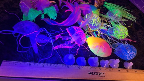 Marine fluorescent glow - fluorescent, sea