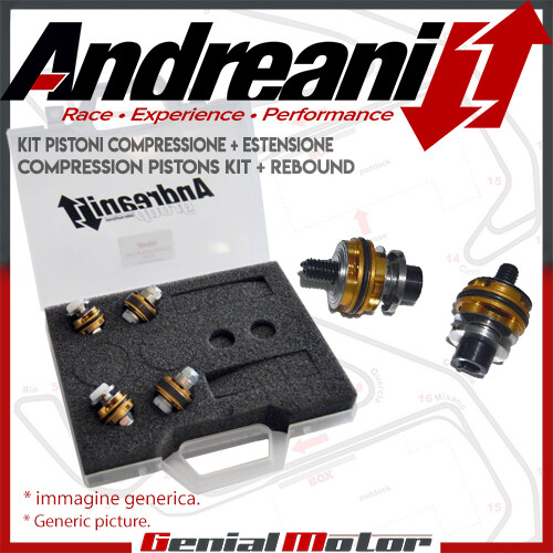 Andreani compression rebond - andreani,