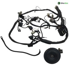 Faisceau electrique MOTO GUZZI