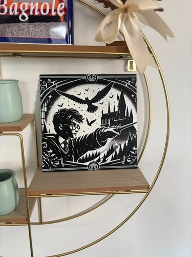 Tableau déco harry - tableau, potter