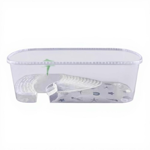 Aquarium tortue avec - , plage