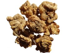 Betterave Fourragère Jaune de