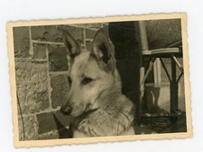 PHOTO SNAPSHOT photographie