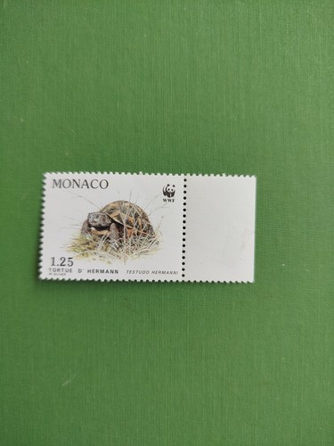 Monaco 1991 1807 - , tortue