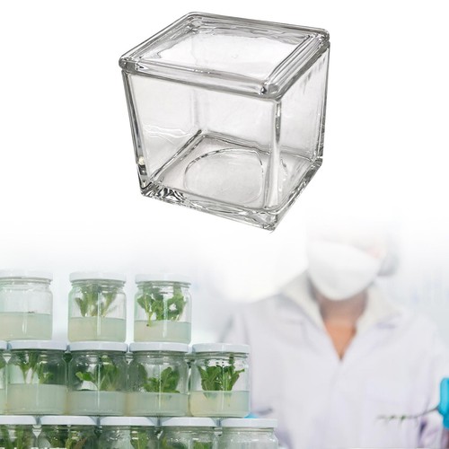 Verre taçon bocal - verre, de